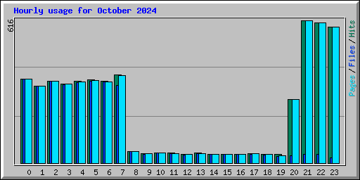 Hourly usage for October 2024